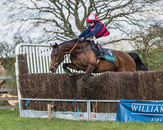 Race 3 - Ladies Open (56 of 79)