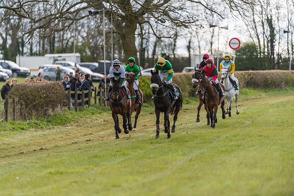 Race 5 - Restricted Race  (3 of 93)