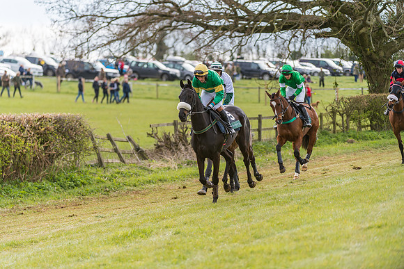 Race 5 - Restricted Race  (4 of 93)