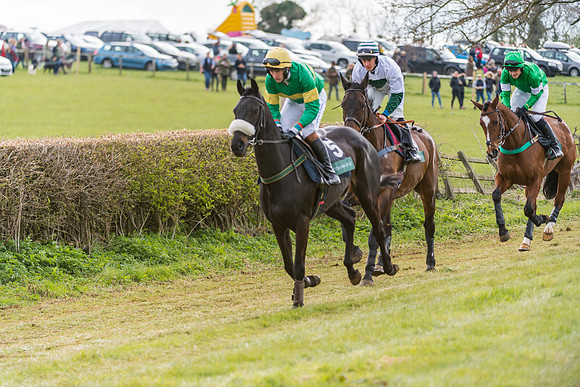 Race 5 - Restricted Race  (5 of 93)