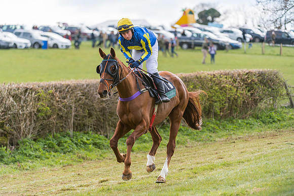 Race 5 - Restricted Race  (12 of 93)