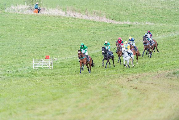 Race 5 - Restricted Race  (15 of 93)