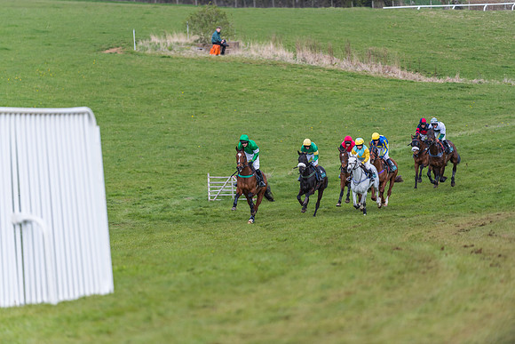 Race 5 - Restricted Race  (16 of 93)