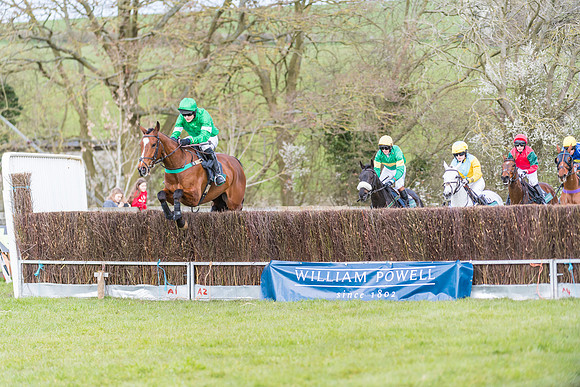 Race 5 - Restricted Race  (19 of 93)