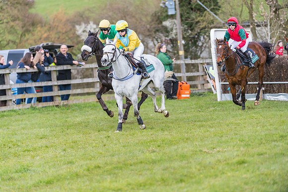 Race 5 - Restricted Race  (27 of 93)
