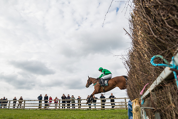 Race 5 - Restricted Race  (28 of 93)