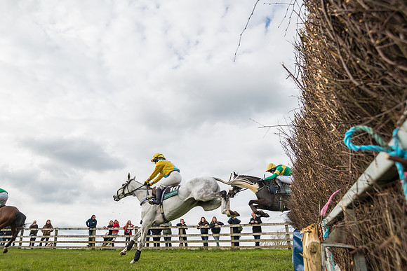 Race 5 - Restricted Race  (32 of 93)