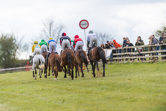 Race 5 - Restricted Race  (39 of 93)