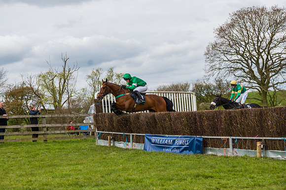 Race 5 - Restricted Race  (42 of 93)
