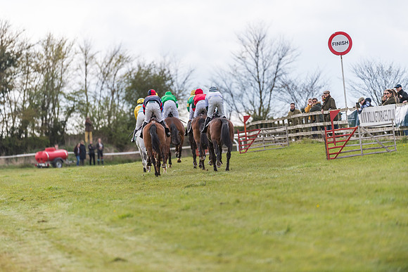 Race 5 - Restricted Race  (40 of 93)