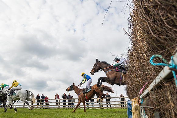 Race 5 - Restricted Race  (50 of 93)
