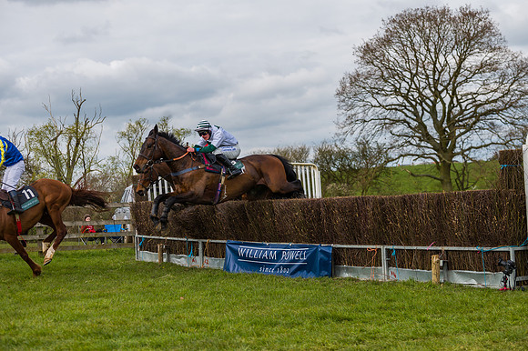 Race 5 - Restricted Race  (52 of 93)