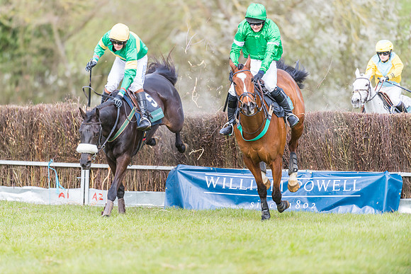 Race 5 - Restricted Race  (58 of 93)
