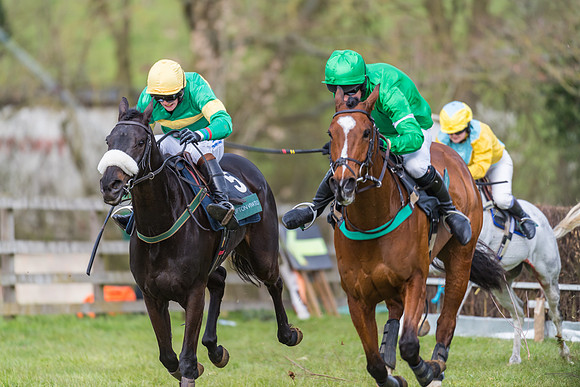 Race 5 - Restricted Race  (63 of 93)