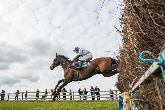 Race 5 - Restricted Race  (74 of 93)