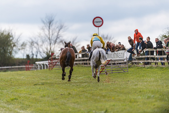 Race 5 - Restricted Race  (77 of 93)