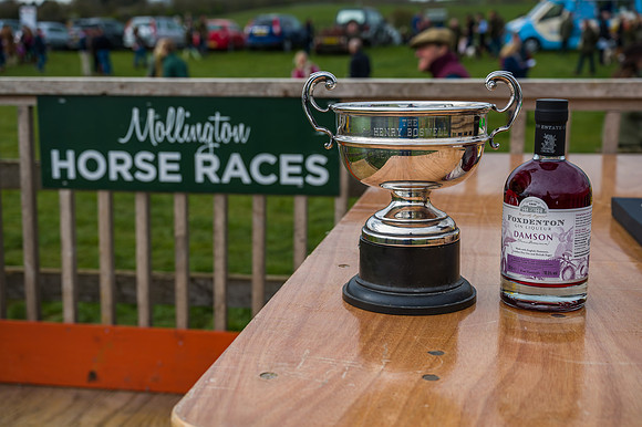 Race 5 - Restricted Race  (90 of 93)