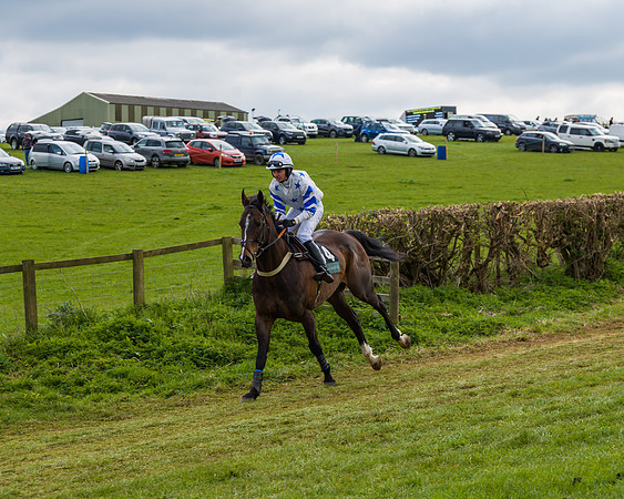 Race 6 - Maiden  (7 of 114)