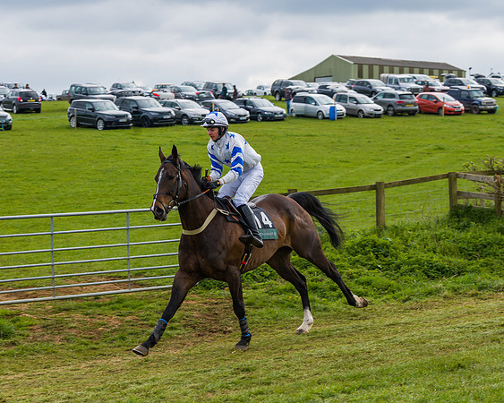 Race 6 - Maiden  (8 of 114)