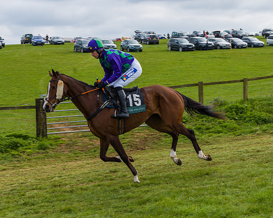 Race 6 - Maiden  (14 of 114)