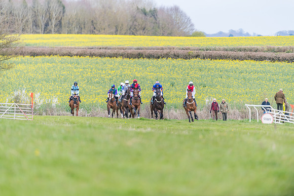 Race 6 - Maiden  (16 of 114)