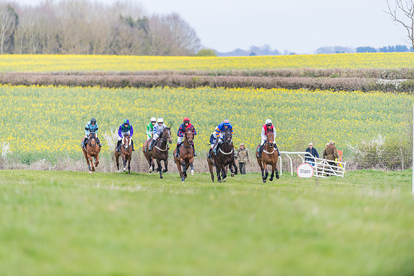 Race 6 - Maiden  (17 of 114)
