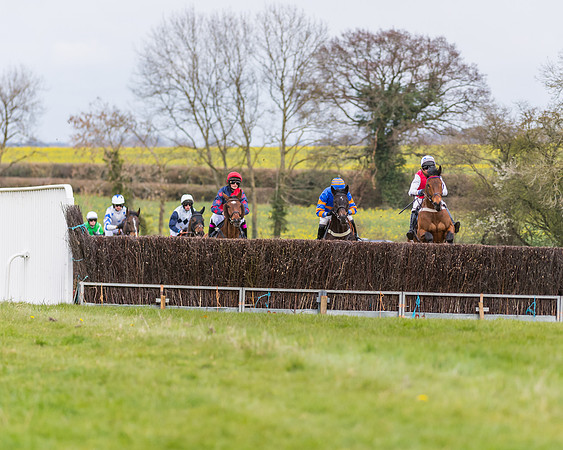 Race 6 - Maiden  (19 of 114)