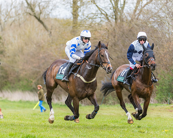 Race 6 - Maiden  (39 of 114)
