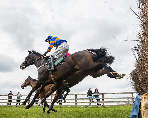 Race 6 - Maiden  (46 of 114)