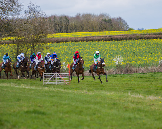 Race 6 - Maiden  (53 of 114)