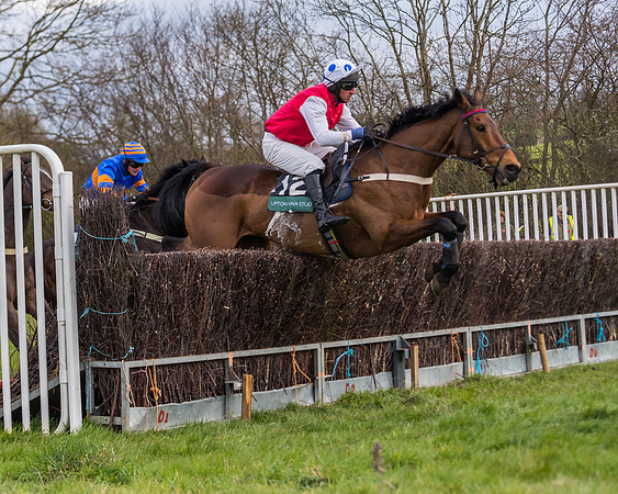 Race 6 - Maiden  (63 of 114)