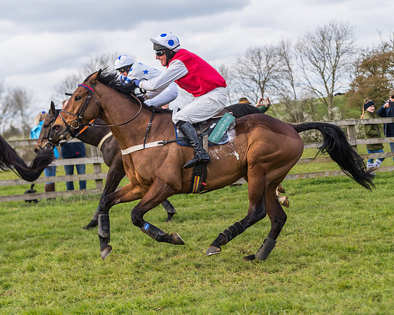 Race 6 - Maiden  (92 of 114)