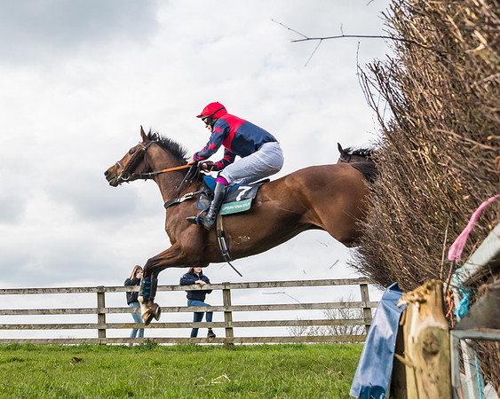 Race 6 - Maiden  (94 of 114)
