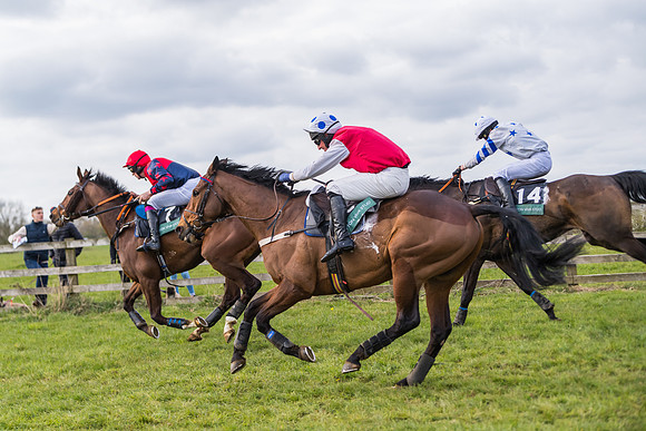 Race 6 - Maiden  (96 of 114)