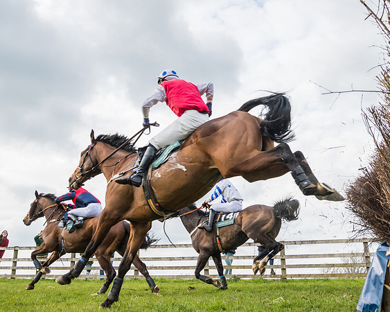 Race 6 - Maiden  (97 of 114)