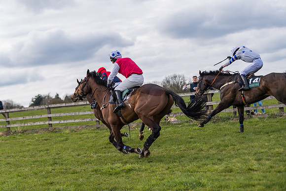 Race 6 - Maiden  (100 of 114)