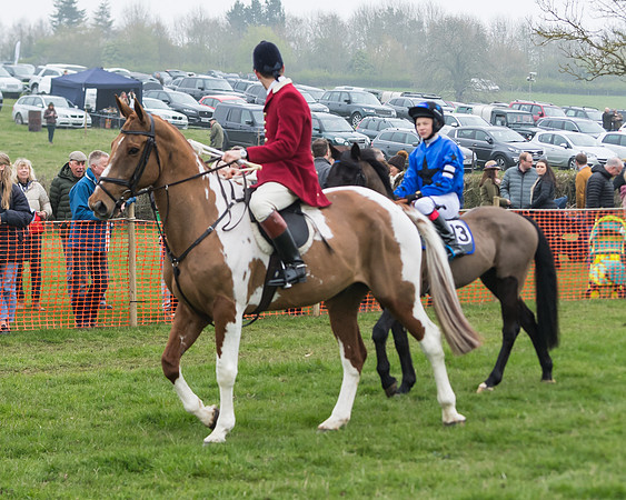 Pony Race 2  (1 of 52)