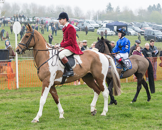 Pony Race 2  (2 of 52)