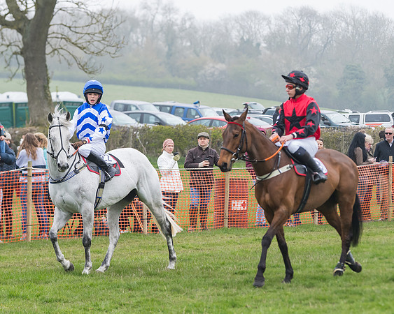 Pony Race 2  (4 of 52)