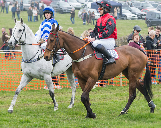 Pony Race 2  (5 of 52)