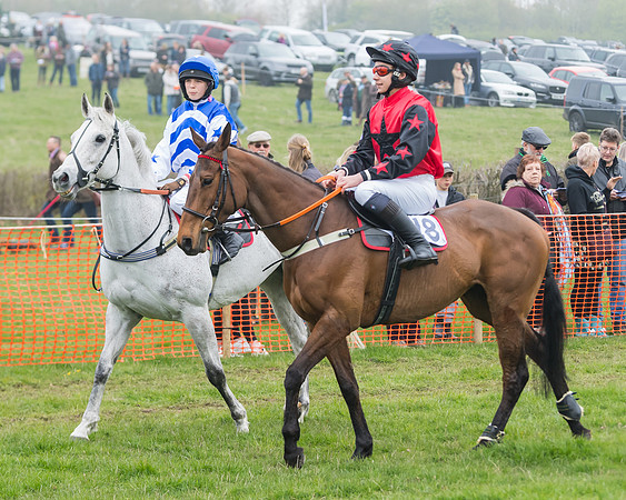 Pony Race 2  (6 of 52)
