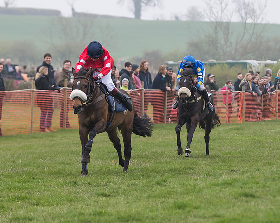 Pony Race 2  (14 of 52)