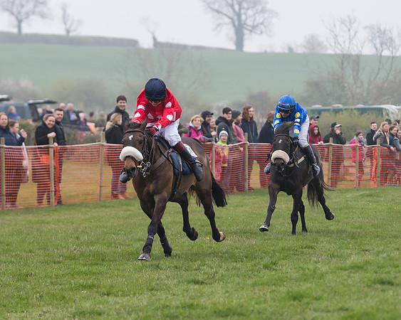 Pony Race 2  (15 of 52)