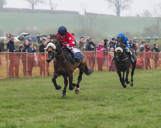 Pony Race 2  (17 of 52)