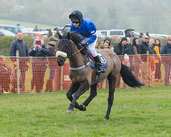 Pony Race 2  (32 of 52)