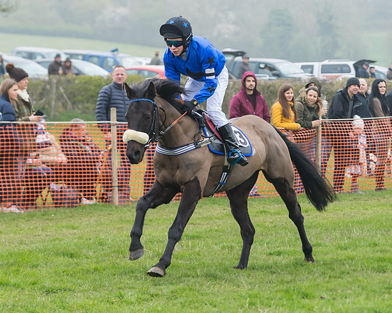 Pony Race 2  (33 of 52)