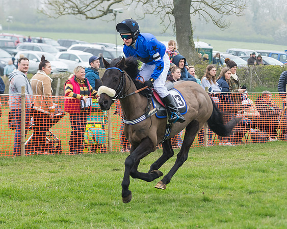 Pony Race 2  (36 of 52)