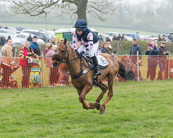 Pony Race 2  (40 of 52)
