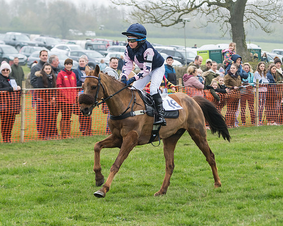 Pony Race 2  (42 of 52)