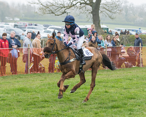 Pony Race 2  (41 of 52)